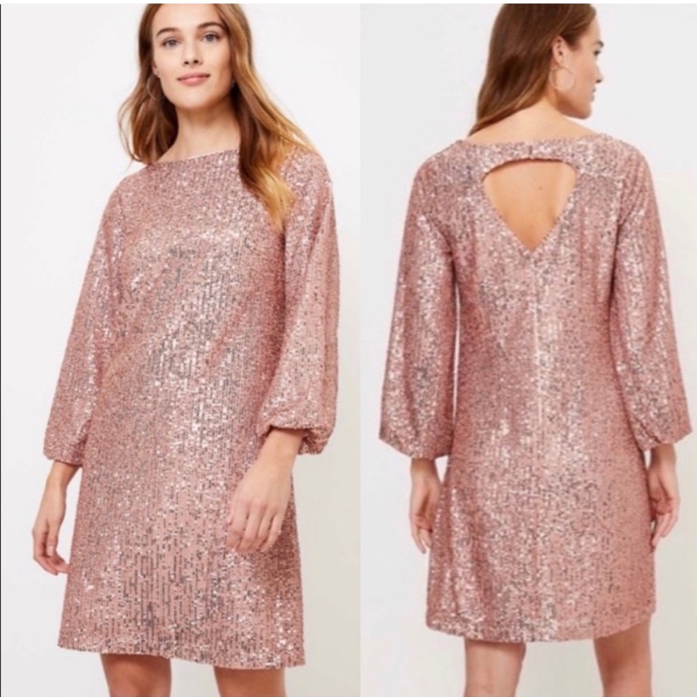 NWT LOFT PLUS Rose Gold Sequin Dress Size 14